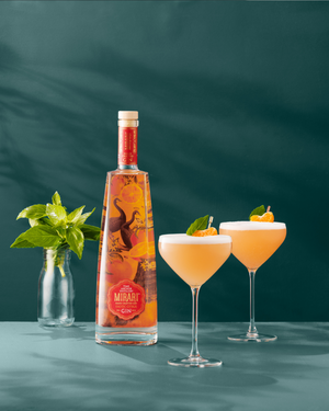 
                  
                    Mirari Exotic Citrus Gin
                  
                